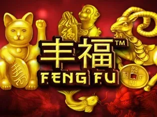 Feng Fu screenshot